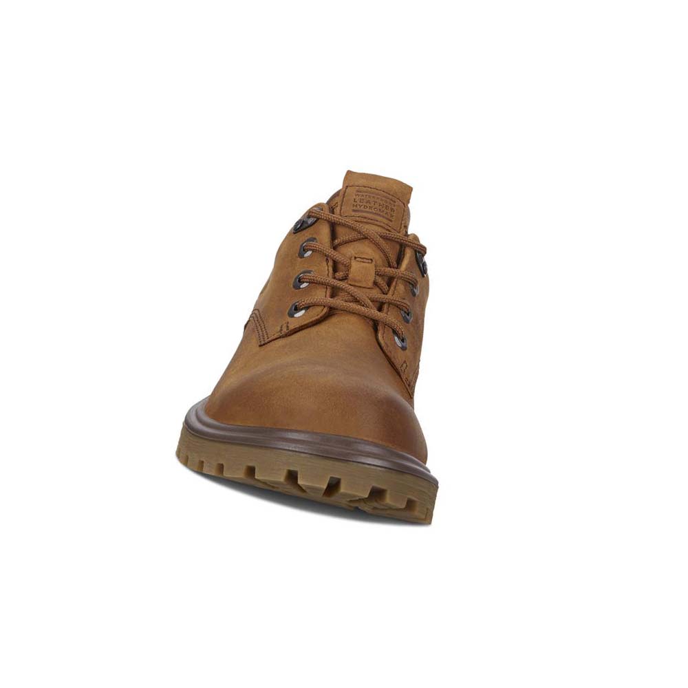 Men's Ecco Tredtray Hiking & Trail Brown | Canada 575PJJ